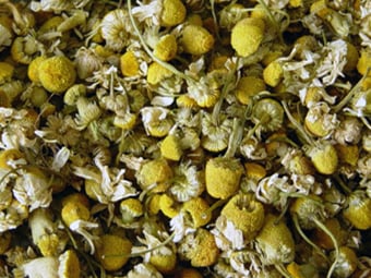 857-1 Chamomile Flowers