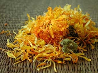 855-1 Calendula (Marigold) Petals